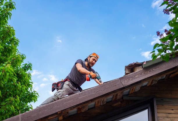 Best Asphalt Shingle Roofing  in Kaufman, TX