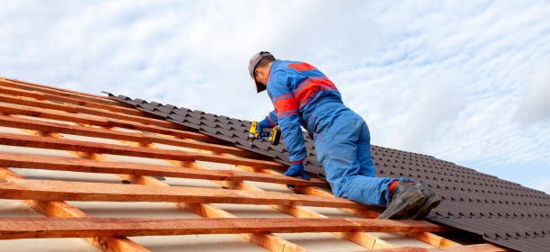 Best Roof Maintenance and Cleaning  in Kaufman, TX